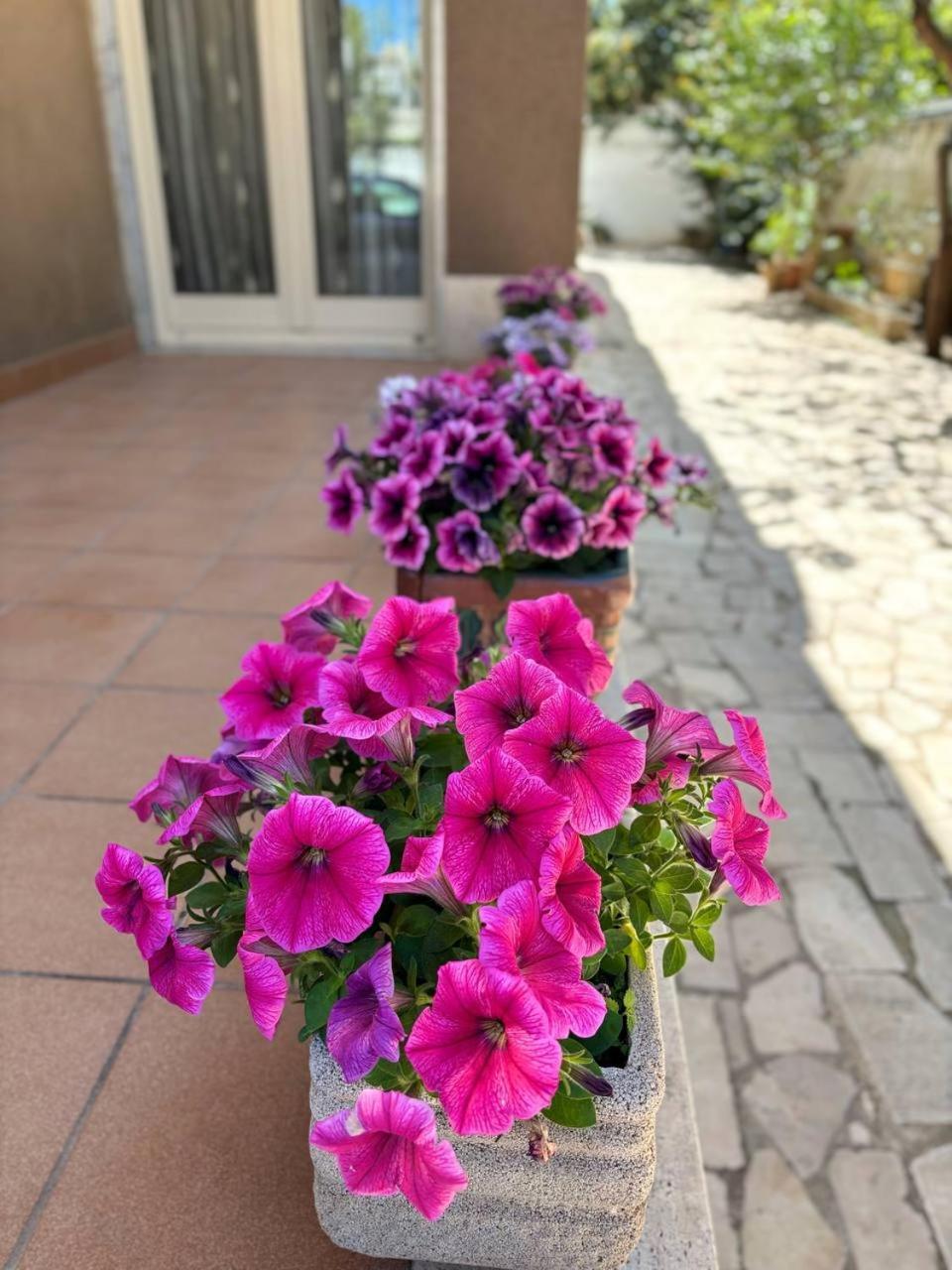 Villa Magnolia Con Giardino Bari Esterno foto